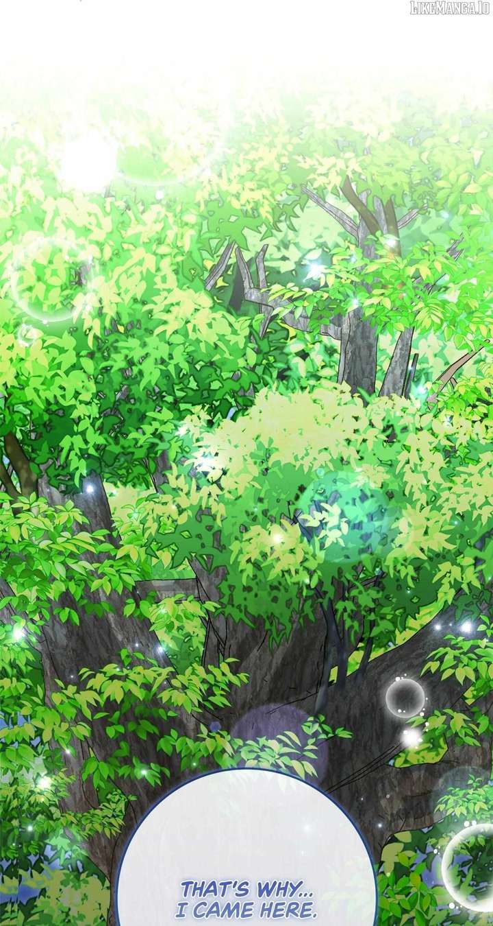 The Beloved Gardener of the World Tree Chapter 14 428 094
