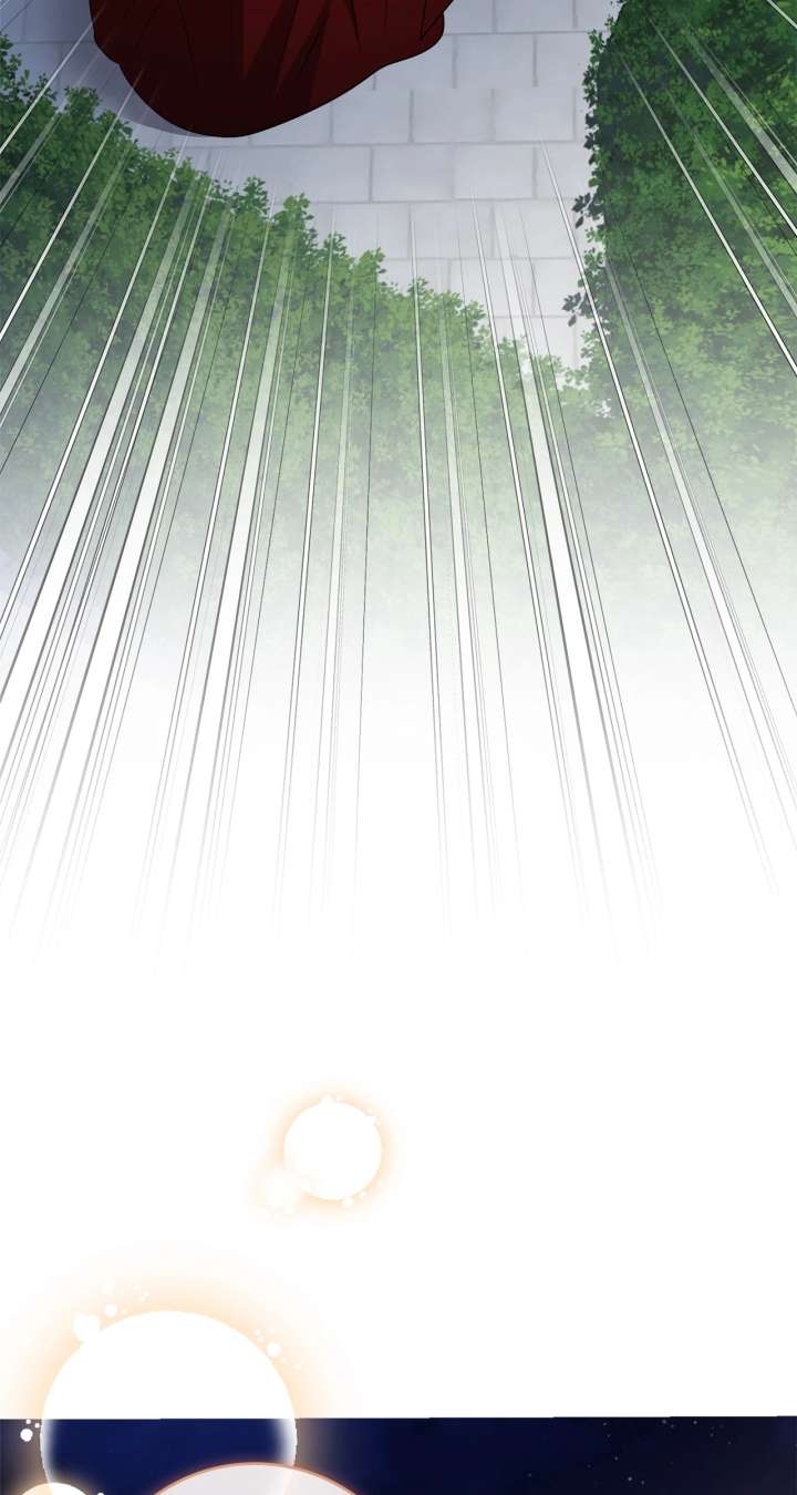 The Beloved Gardener of the World Tree Chapter 20 367 042