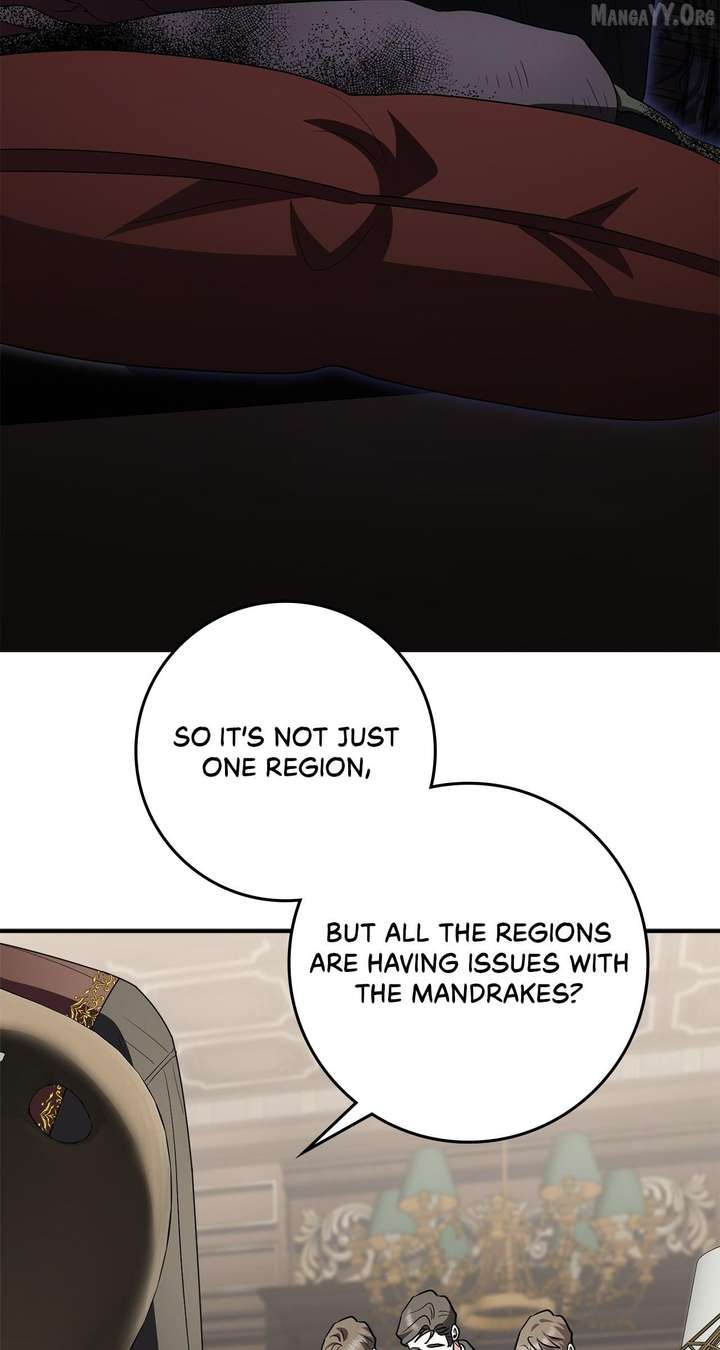 The Beloved Gardener of the World Tree Chapter 24 306 05