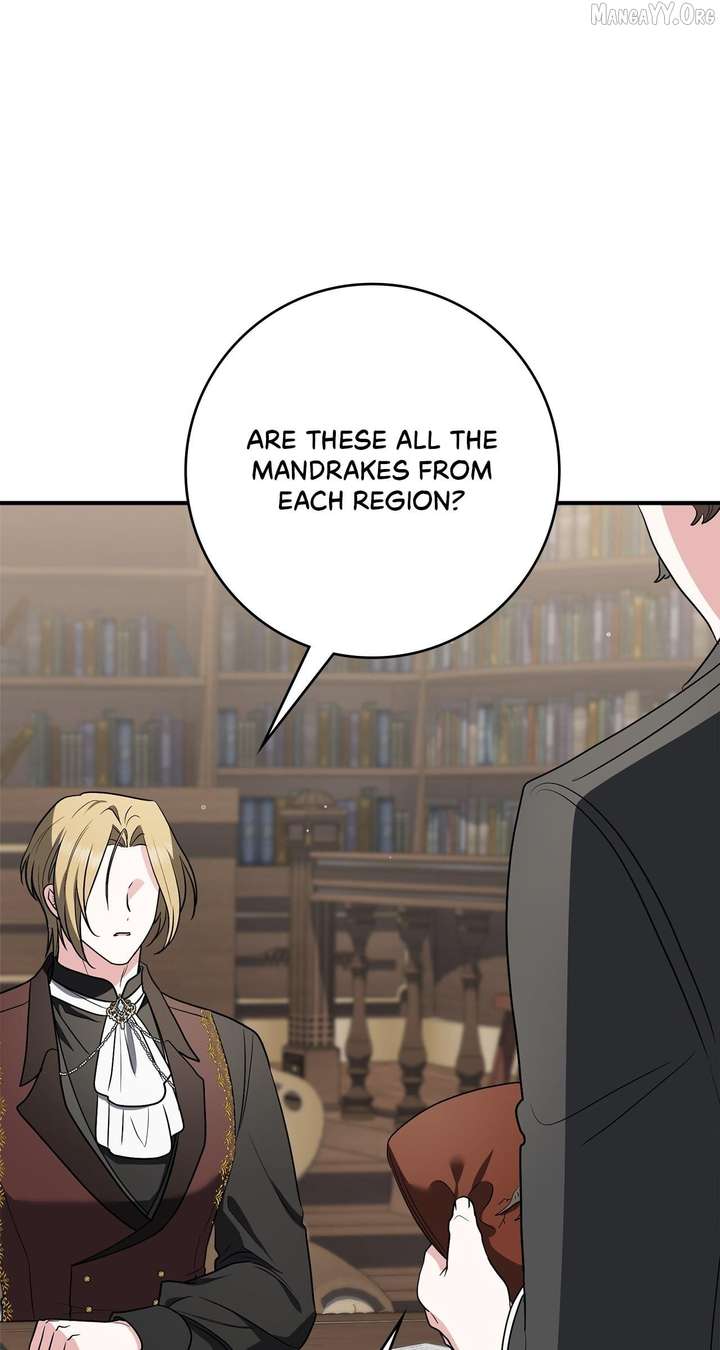 The Beloved Gardener of the World Tree Chapter 24 312 11