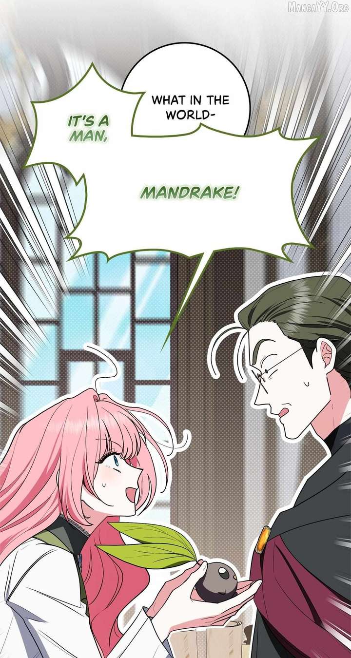 The Beloved Gardener of the World Tree Chapter 24 353 52