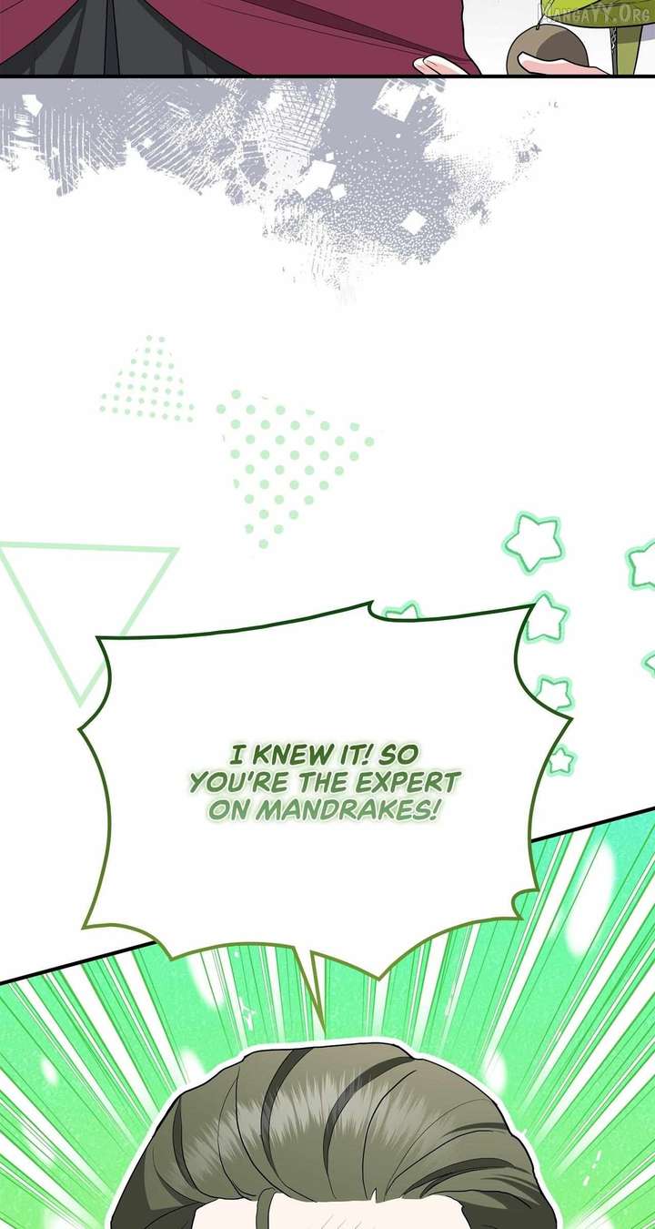 The Beloved Gardener of the World Tree Chapter 24 357 56