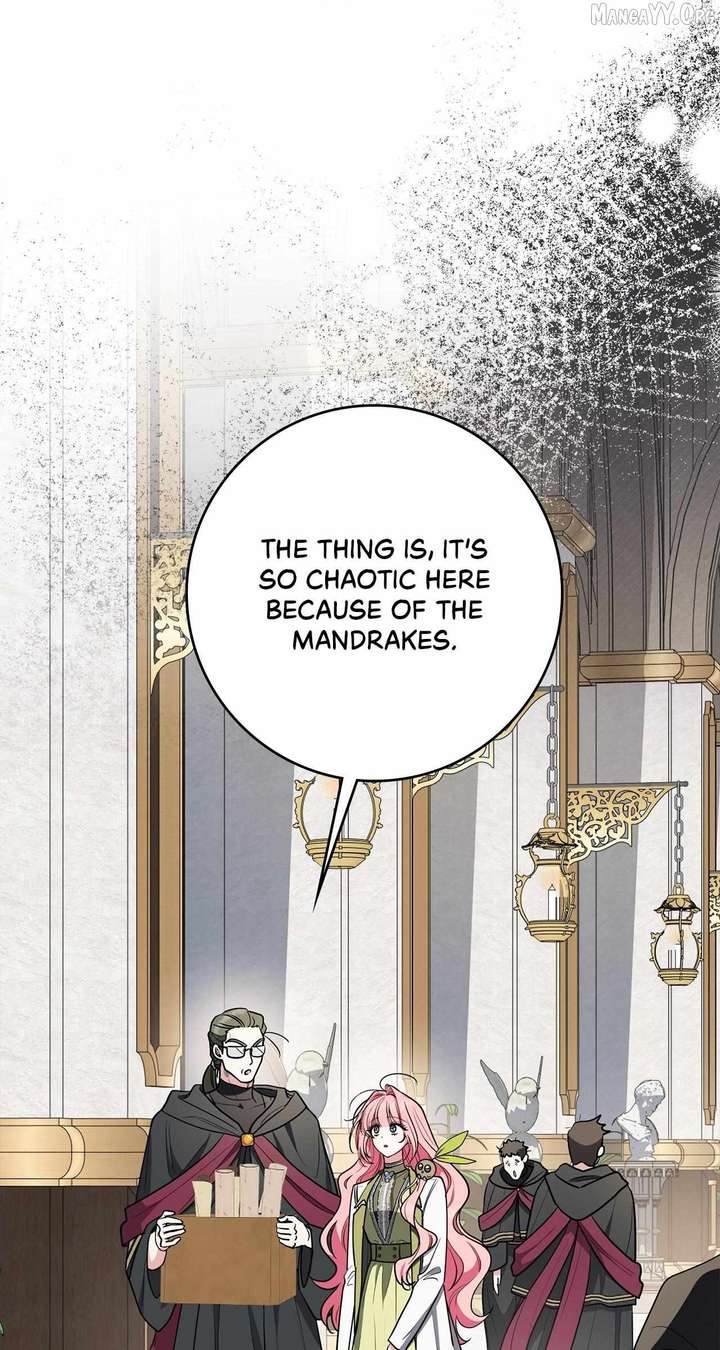 The Beloved Gardener of the World Tree Chapter 24 361 60