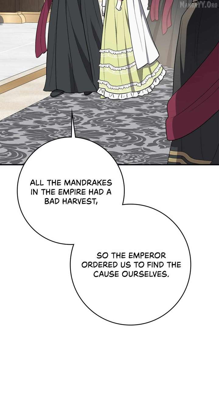 The Beloved Gardener of the World Tree Chapter 24 362 61