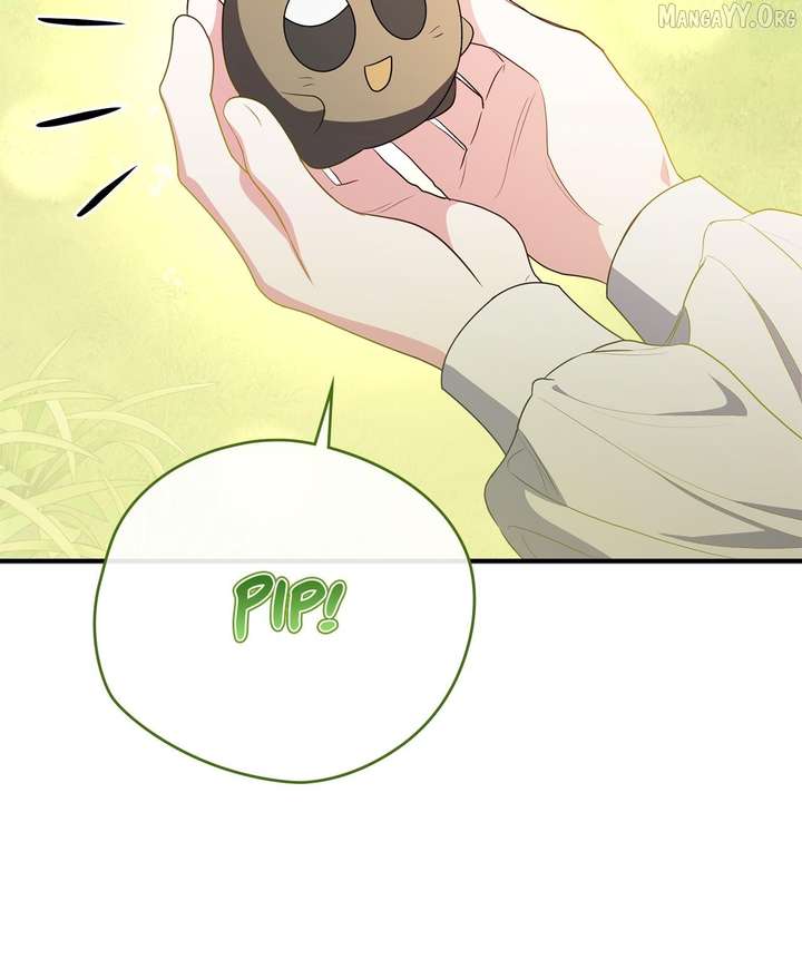 ch 31 35