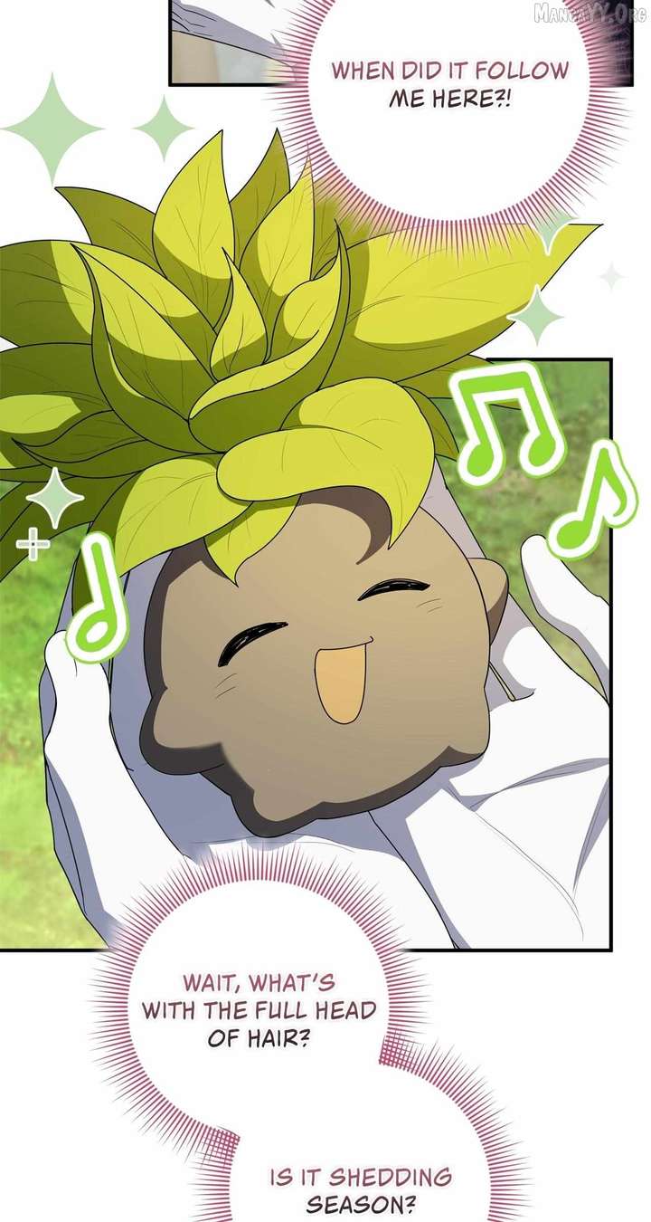 The Beloved Gardener of the World Tree Chapter 32 333 ch 32 12