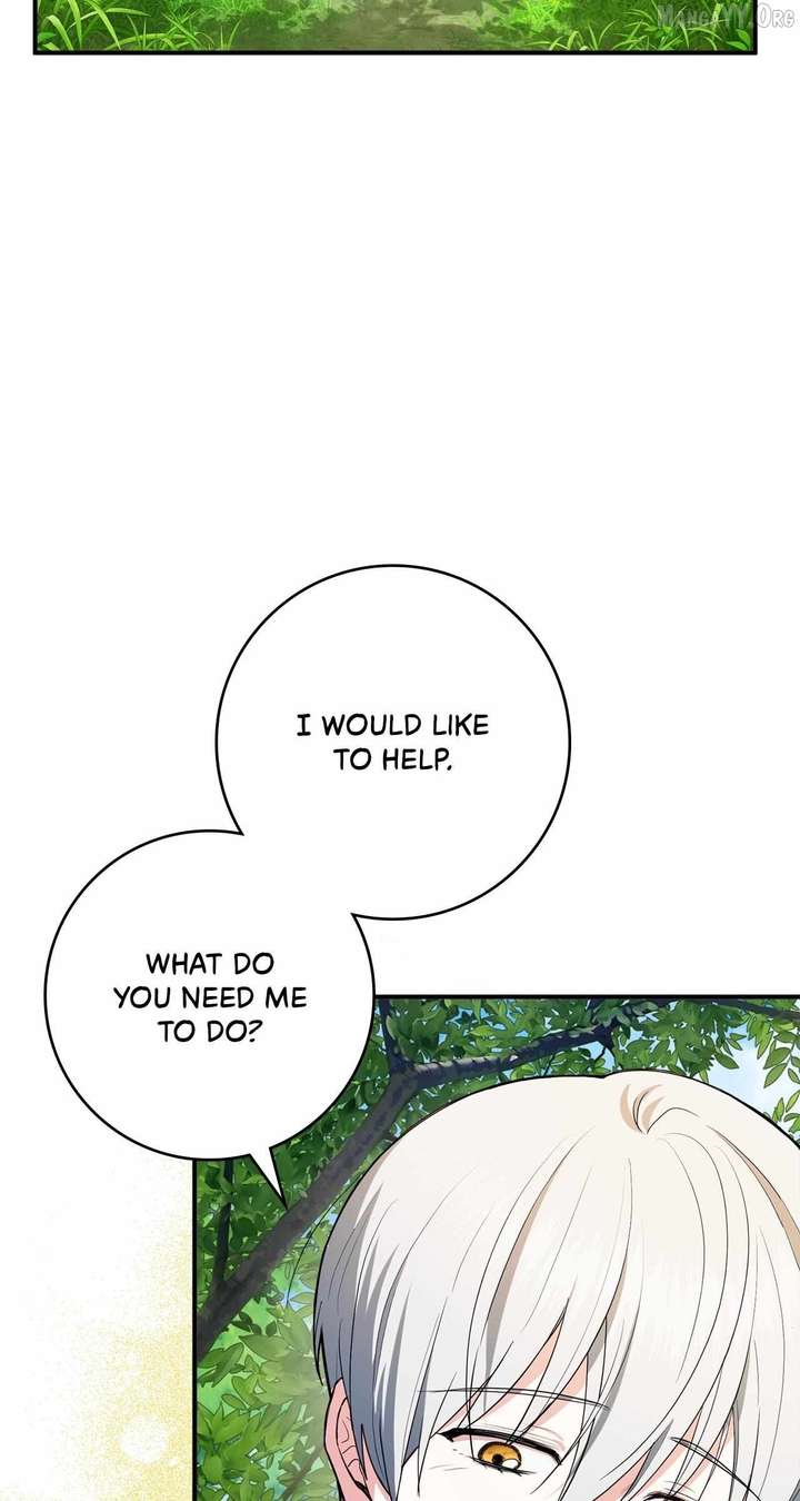 ch 36 41