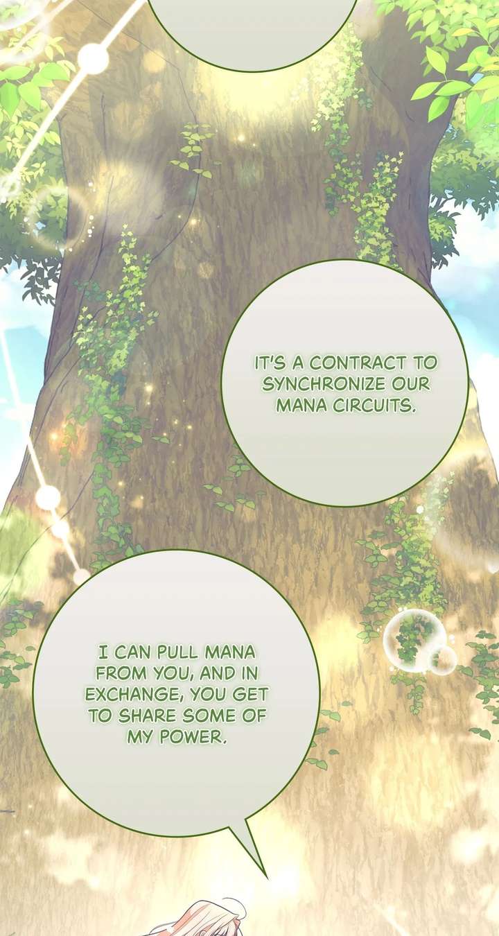 The Beloved Gardener of the World Tree Chapter 39 331 ch 39 46