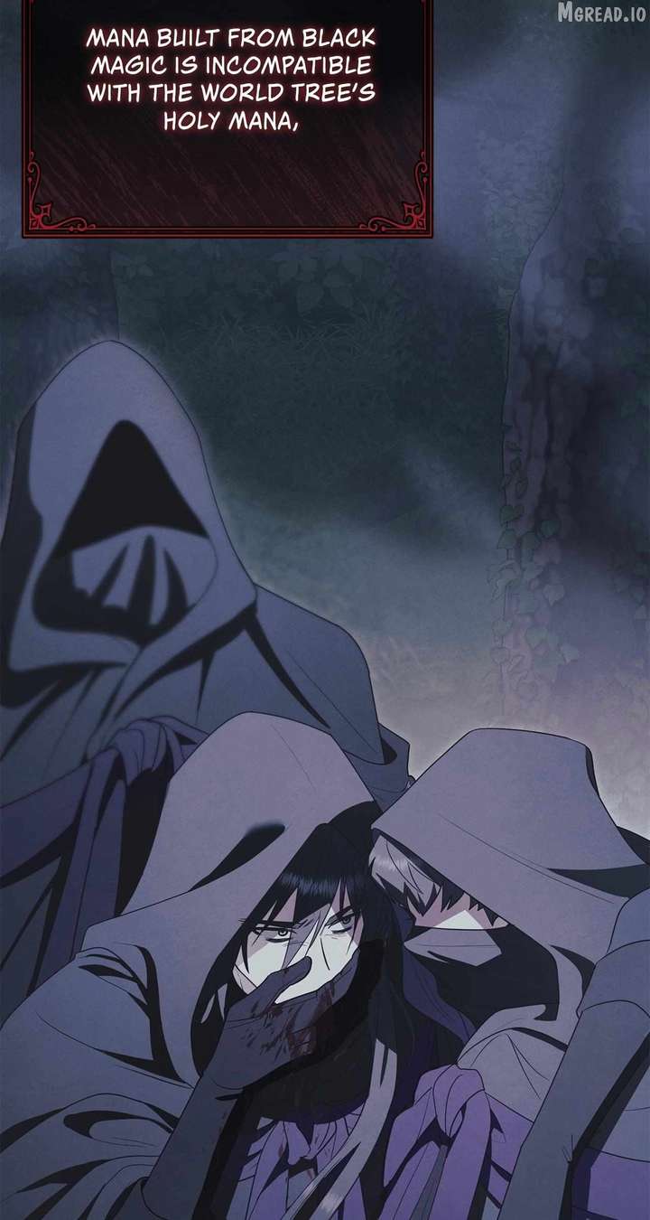 ch 40 8