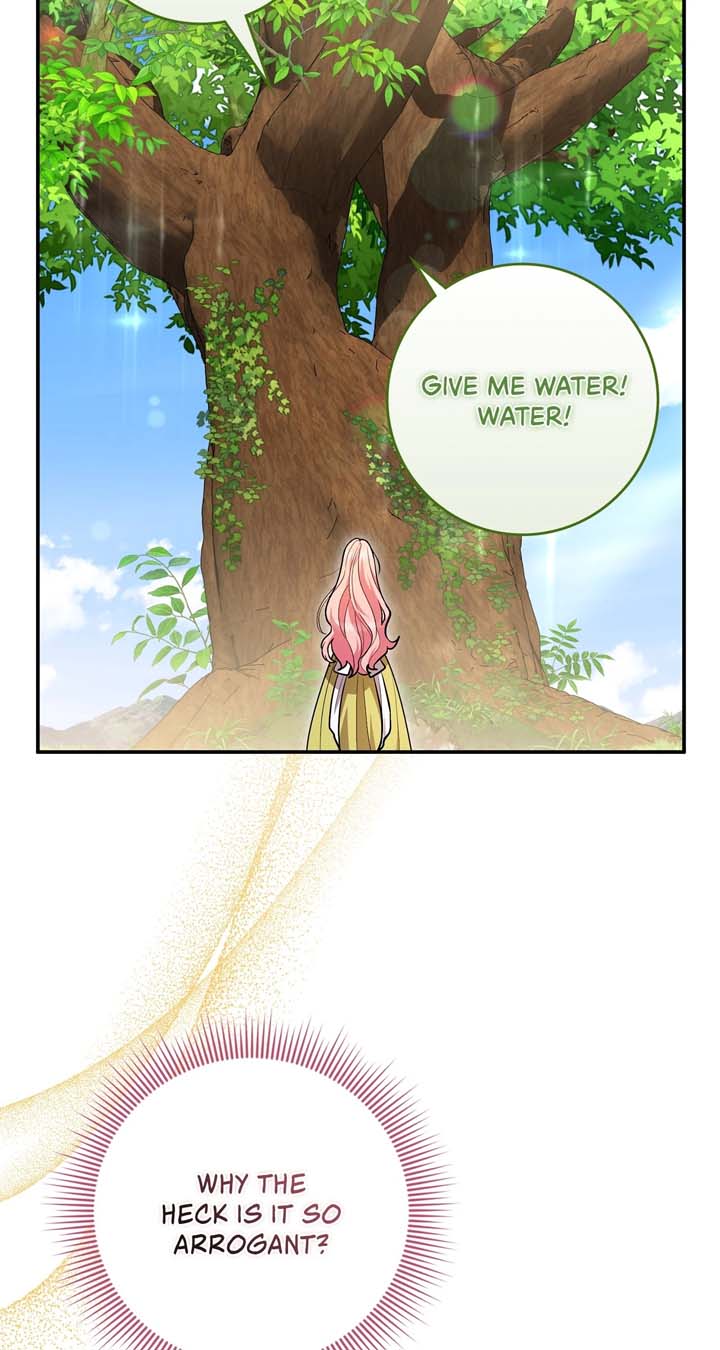 066