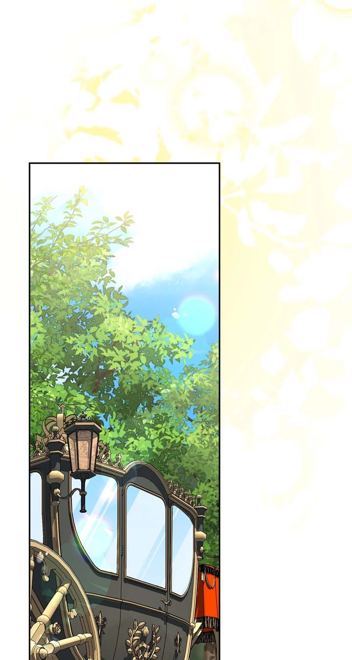 The Beloved Gardener of the World Tree Chapter 8 356 022