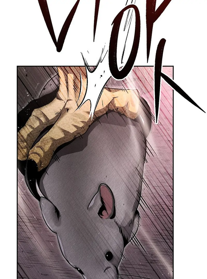 117