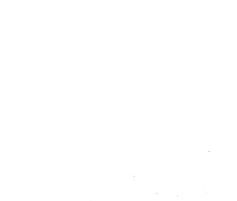 119