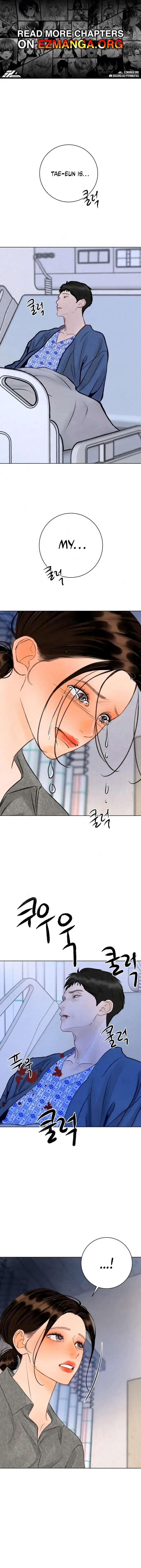 ch 36 1