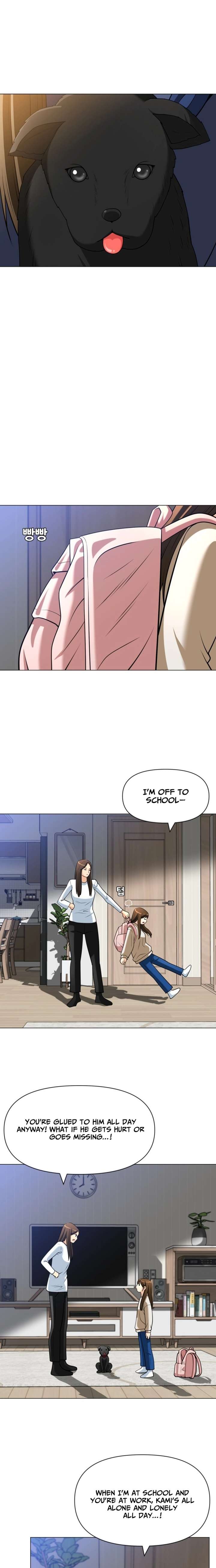 ch 29 13