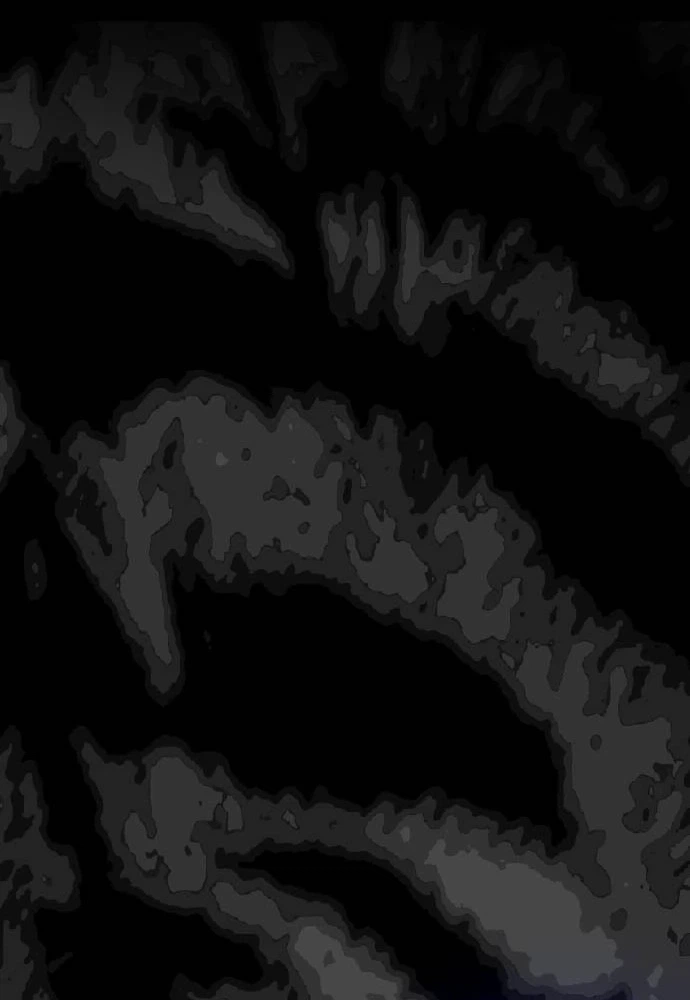 007c1a33385a