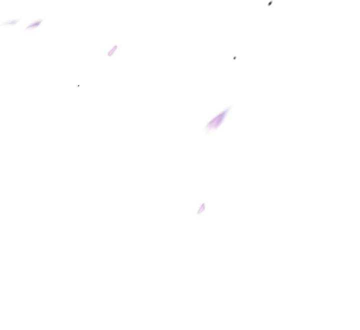 206