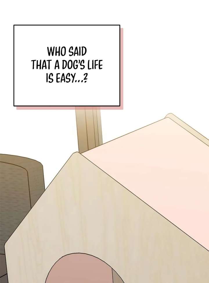 I Will Become Your Dog, Boss! Chapter 10 467 007