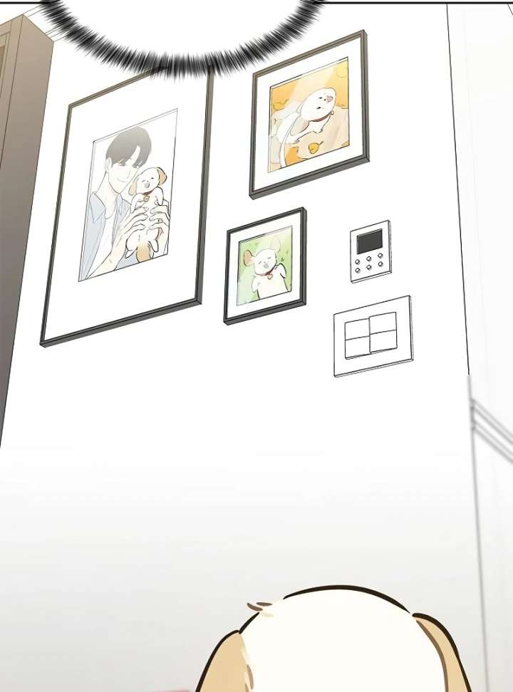 I Will Become Your Dog, Boss! Chapter 10 476 016