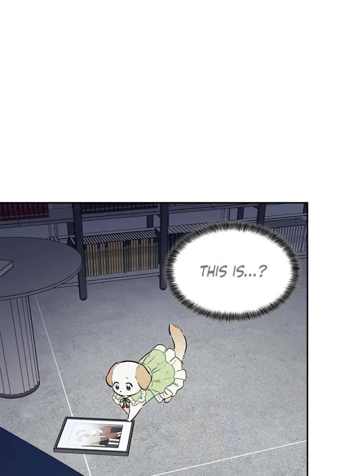 I Will Become Your Dog, Boss! Chapter 10 484 024