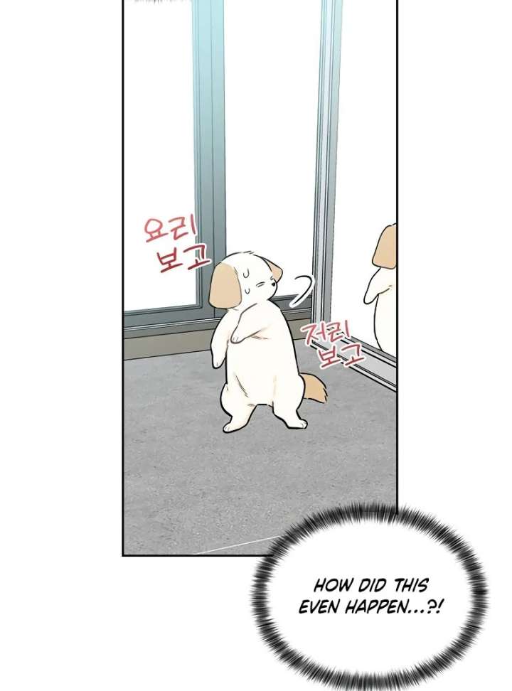 I Will Become Your Dog, Boss! Chapter 2 547 108