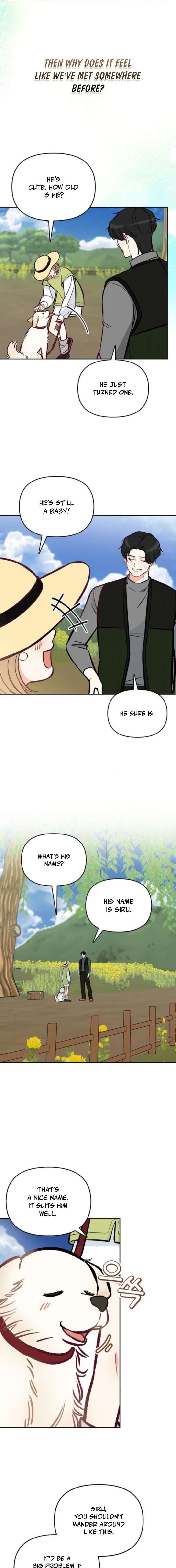 I Will Become Your Dog, Boss! Chapter 61 82 015