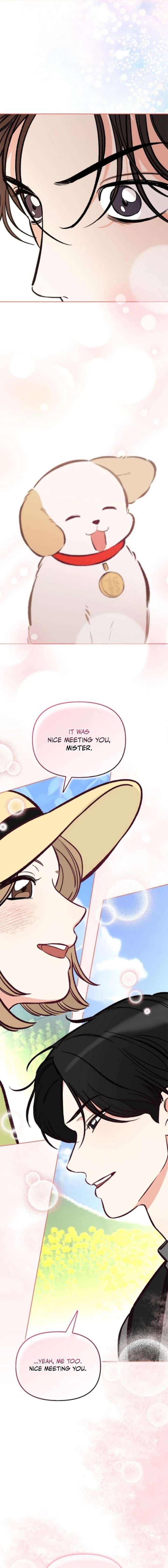 I Will Become Your Dog, Boss! Chapter 61 84 017