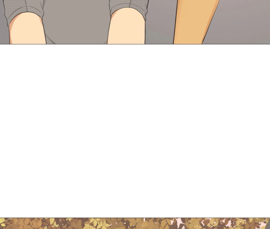 e06417f6fc8c