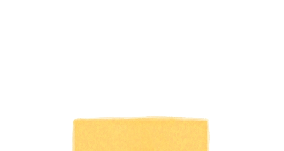 ea1100216e9f