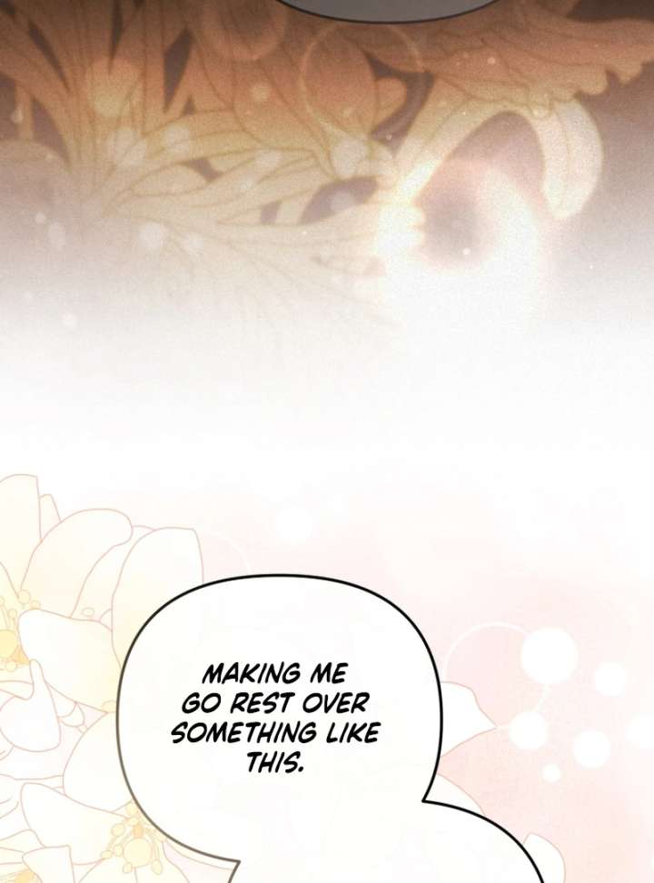 Even if I Hide My Power, the Noble Lady Is the Strongest Chapter 21 559 051
