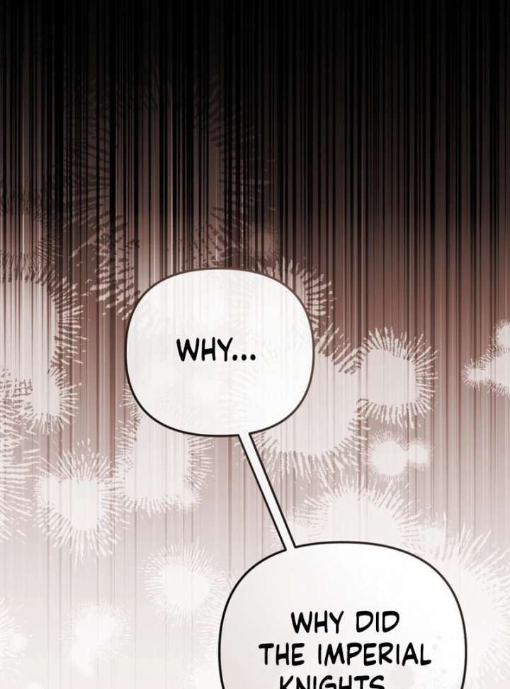 Even if I Hide My Power, the Noble Lady Is the Strongest Chapter 21 637 129