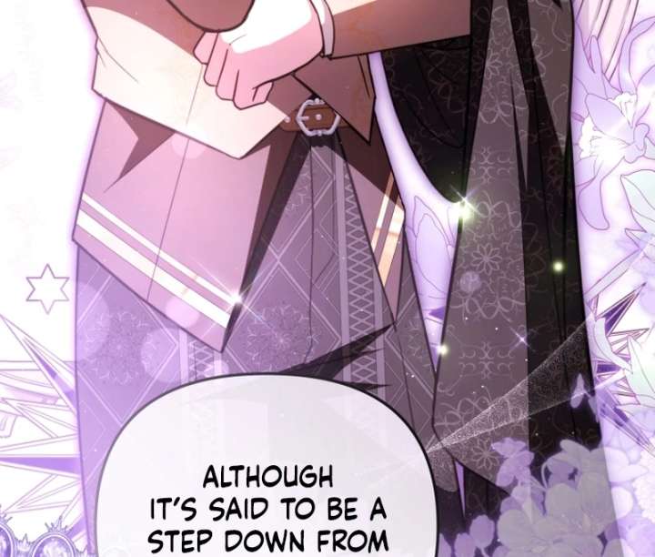 Even if I Hide My Power, the Noble Lady Is the Strongest Chapter 26 488 016
