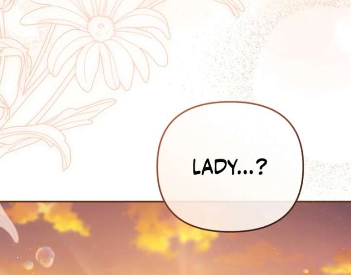 Even if I Hide My Power, the Noble Lady Is the Strongest Chapter 26 618 146