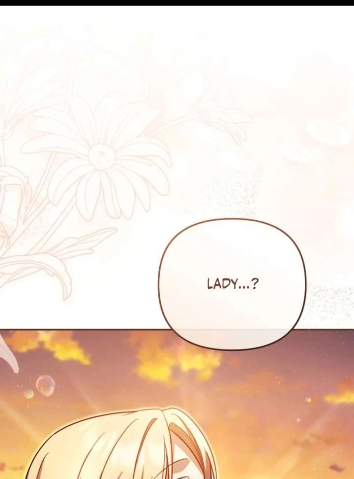 Even if I Hide My Power, the Noble Lady Is the Strongest Chapter 27 488 001