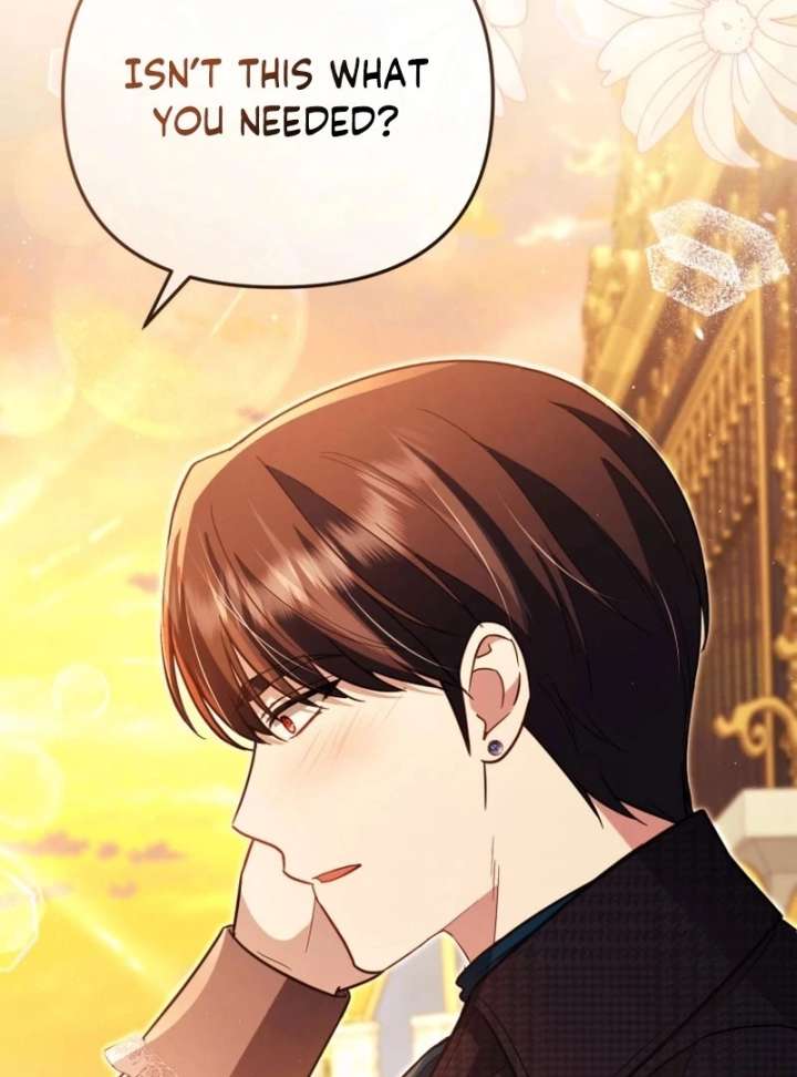 Even if I Hide My Power, the Noble Lady Is the Strongest Chapter 27 490 003
