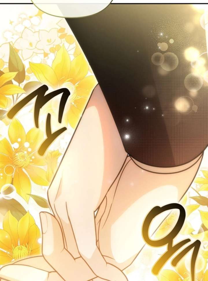 Even if I Hide My Power, the Noble Lady Is the Strongest Chapter 27 509 022