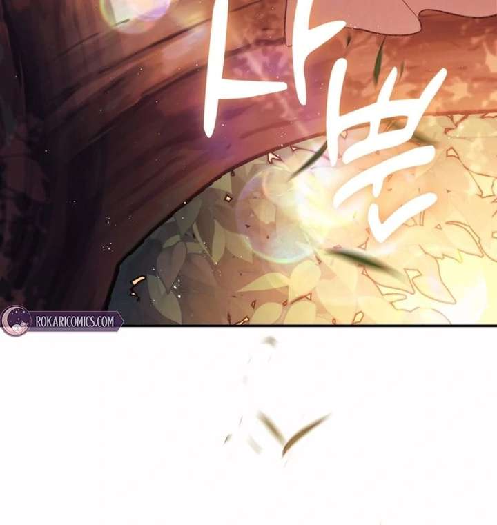 Even if I Hide My Power, the Noble Lady Is the Strongest Chapter 32 399 044