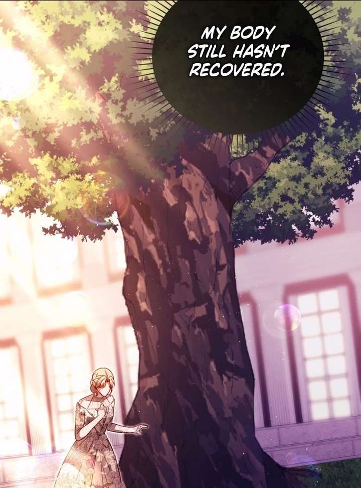 Even if I Hide My Power, the Noble Lady Is the Strongest Chapter 32 409 054