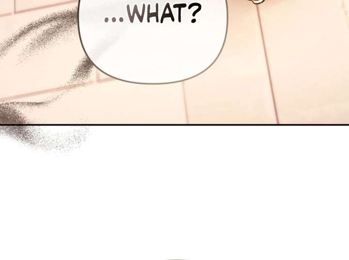 Even if I Hide My Power, the Noble Lady Is the Strongest Chapter 32 449 094