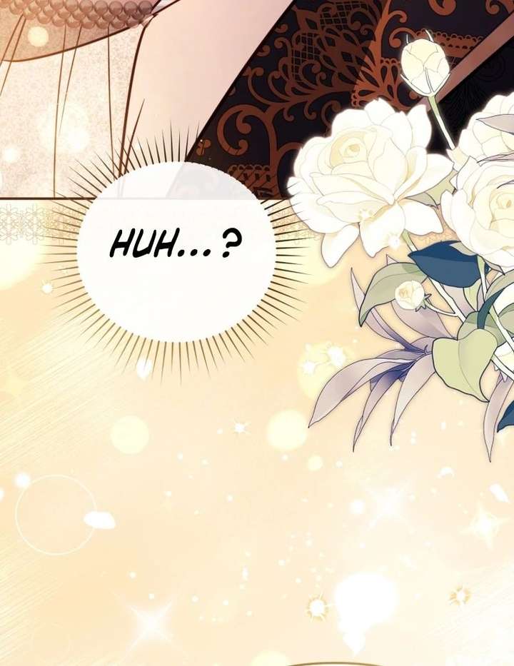 Even if I Hide My Power, the Noble Lady Is the Strongest Chapter 32 459 104
