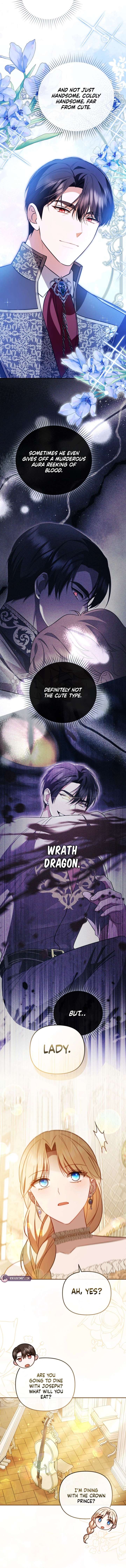 ch 36 4