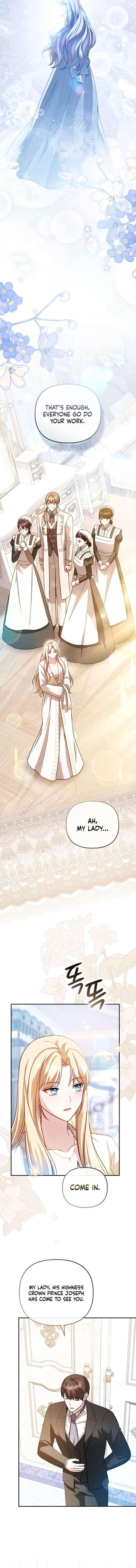 Even if I Hide My Power, the Noble Lady Is the Strongest Chapter 40 65 ch 40 11
