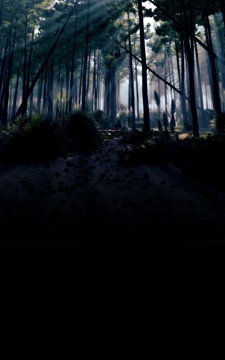 ch 18 13