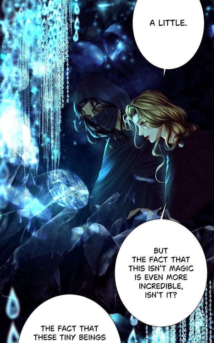 ch 19 73