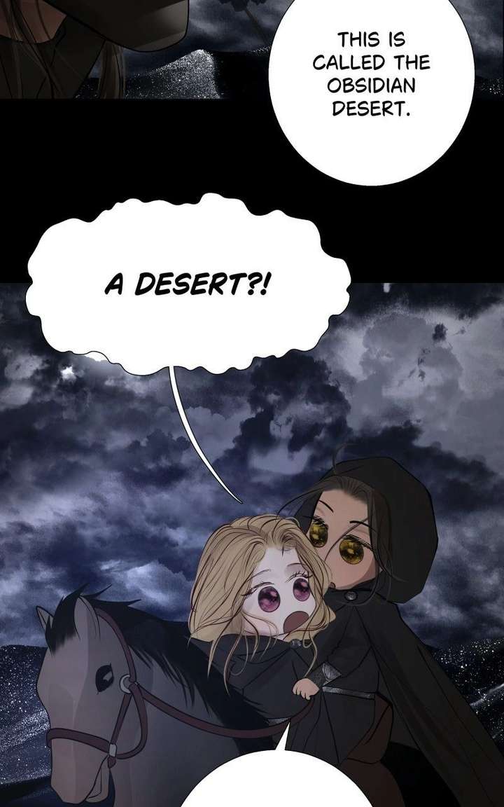 ch 20 31