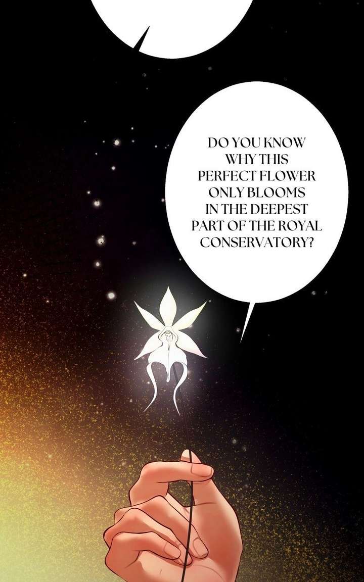 ch 21 13