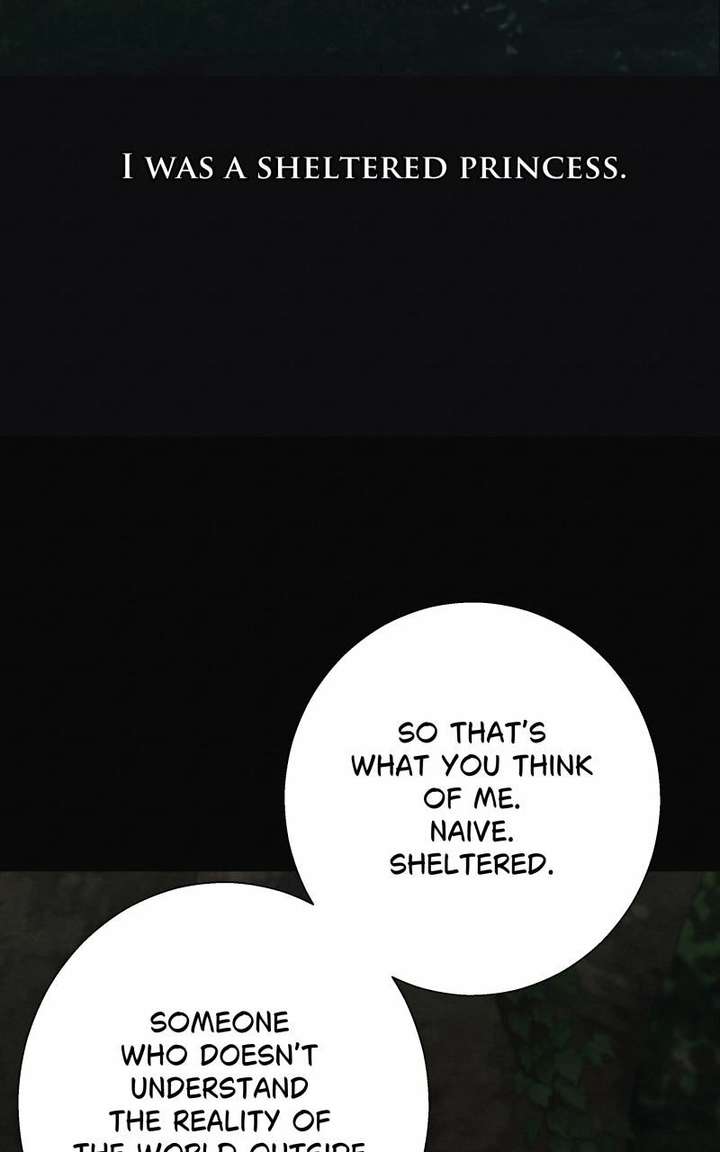 ch 23 58