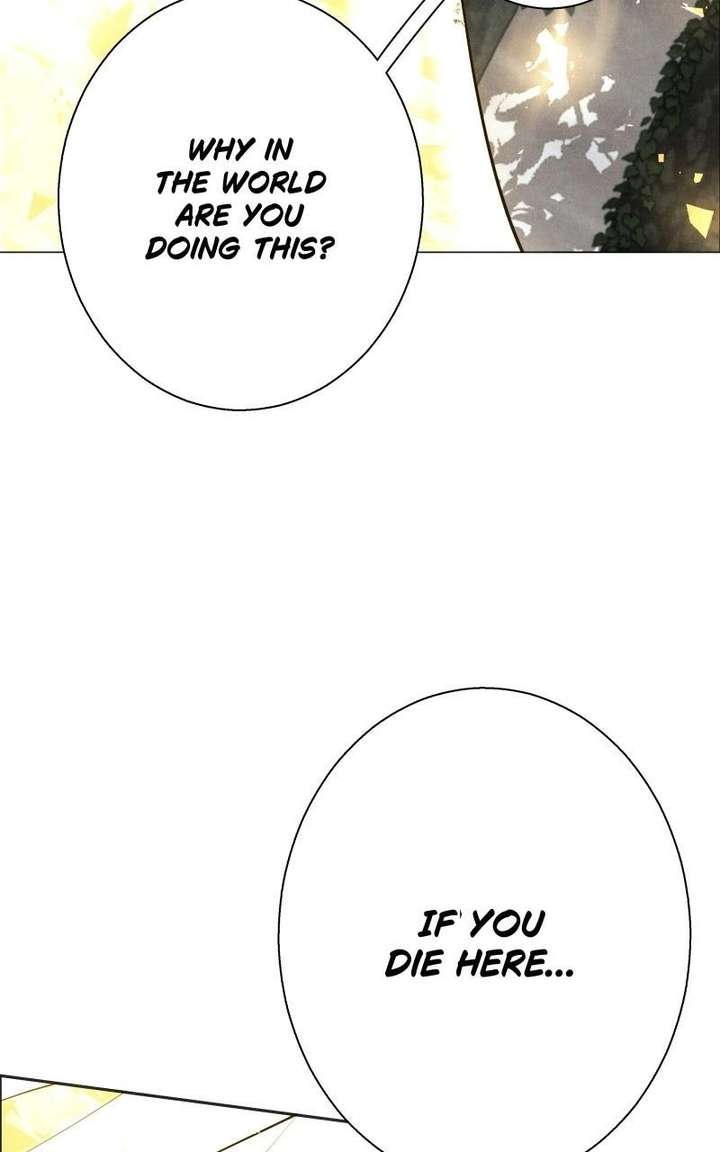 ch 24 67