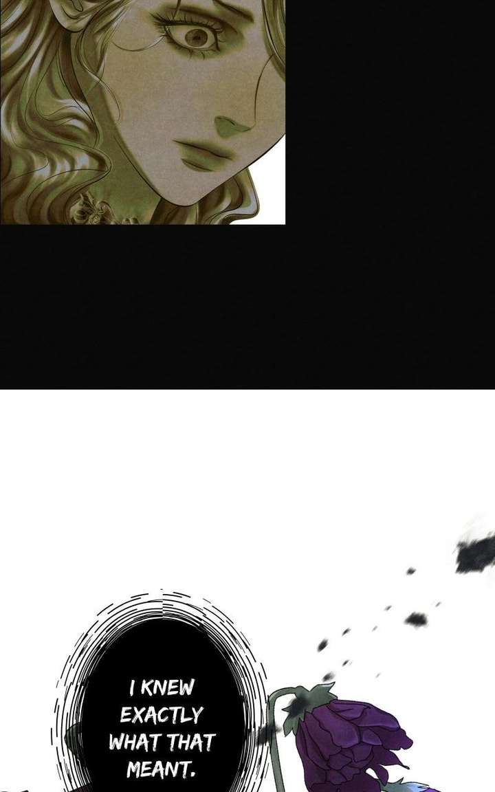 ch 25 26
