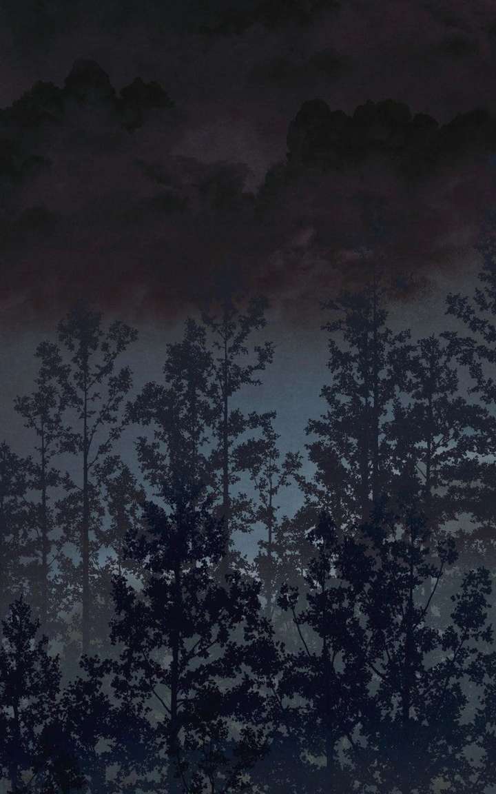ch 25 63